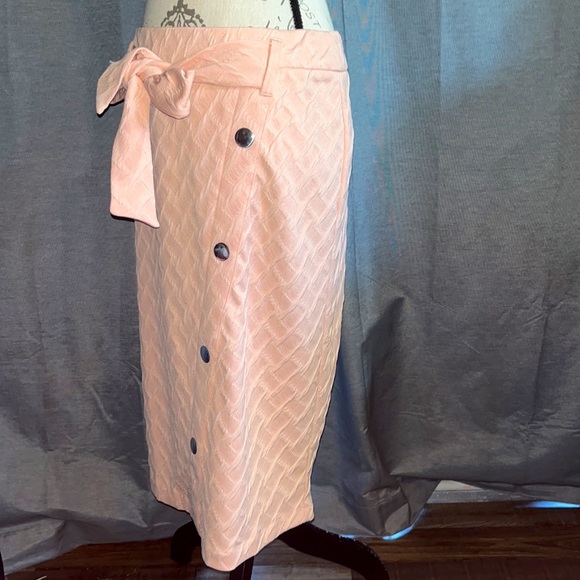 Cato - Picture 3 of 8